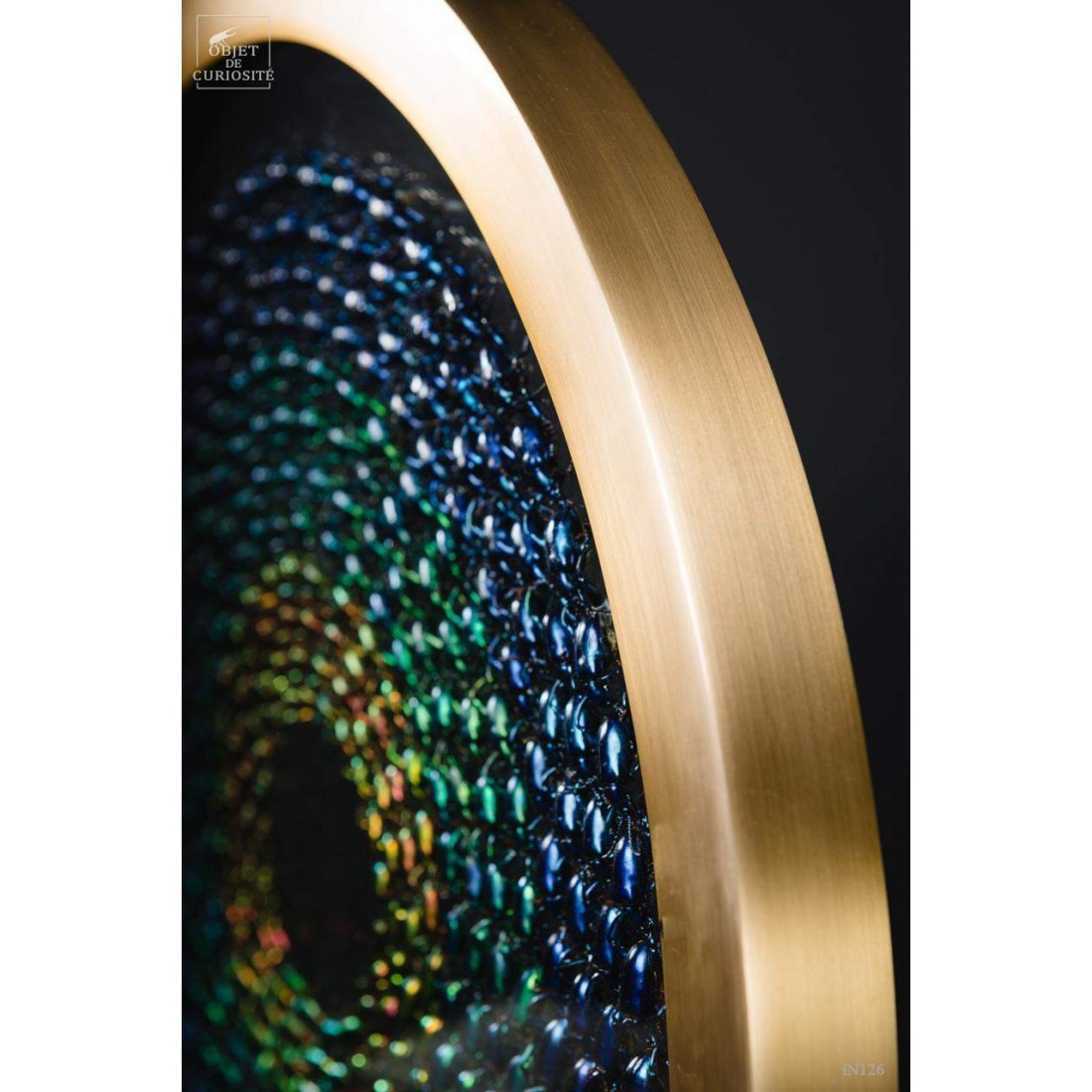 Variations de Sagra dans un cercle de laiton. Variations de Sagra dans un cercle de laiton.