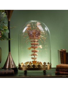 Eclaté de cigale de mer...