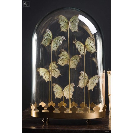 7 black  and white butterflies under oval glass