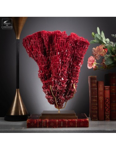 Red coral TUBIPORA MUSICA Red coral TUBIPORA MUSICA