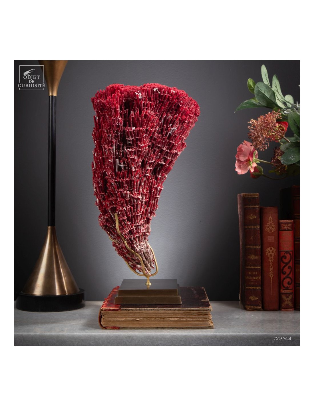 Red coral TUBIPORA MUSICA Red coral TUBIPORA MUSICA