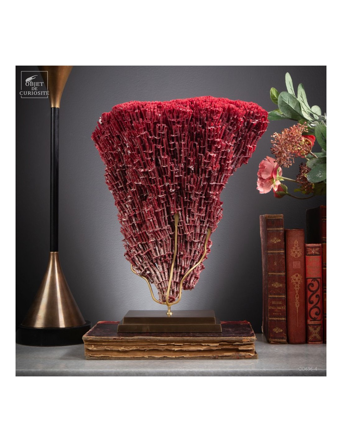 Red coral TUBIPORA MUSICA Red coral TUBIPORA MUSICA