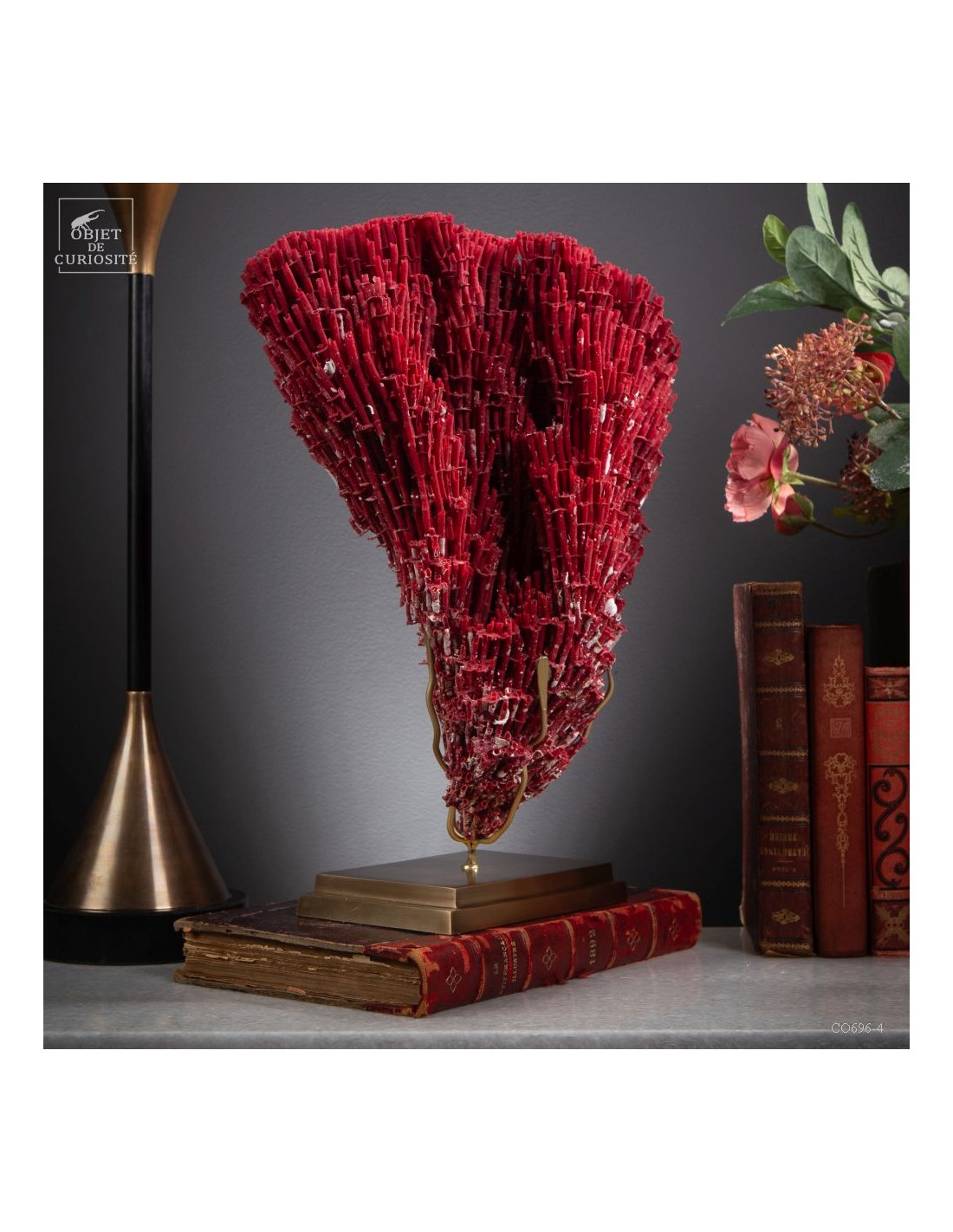 Red coral TUBIPORA MUSICA Red coral TUBIPORA MUSICA