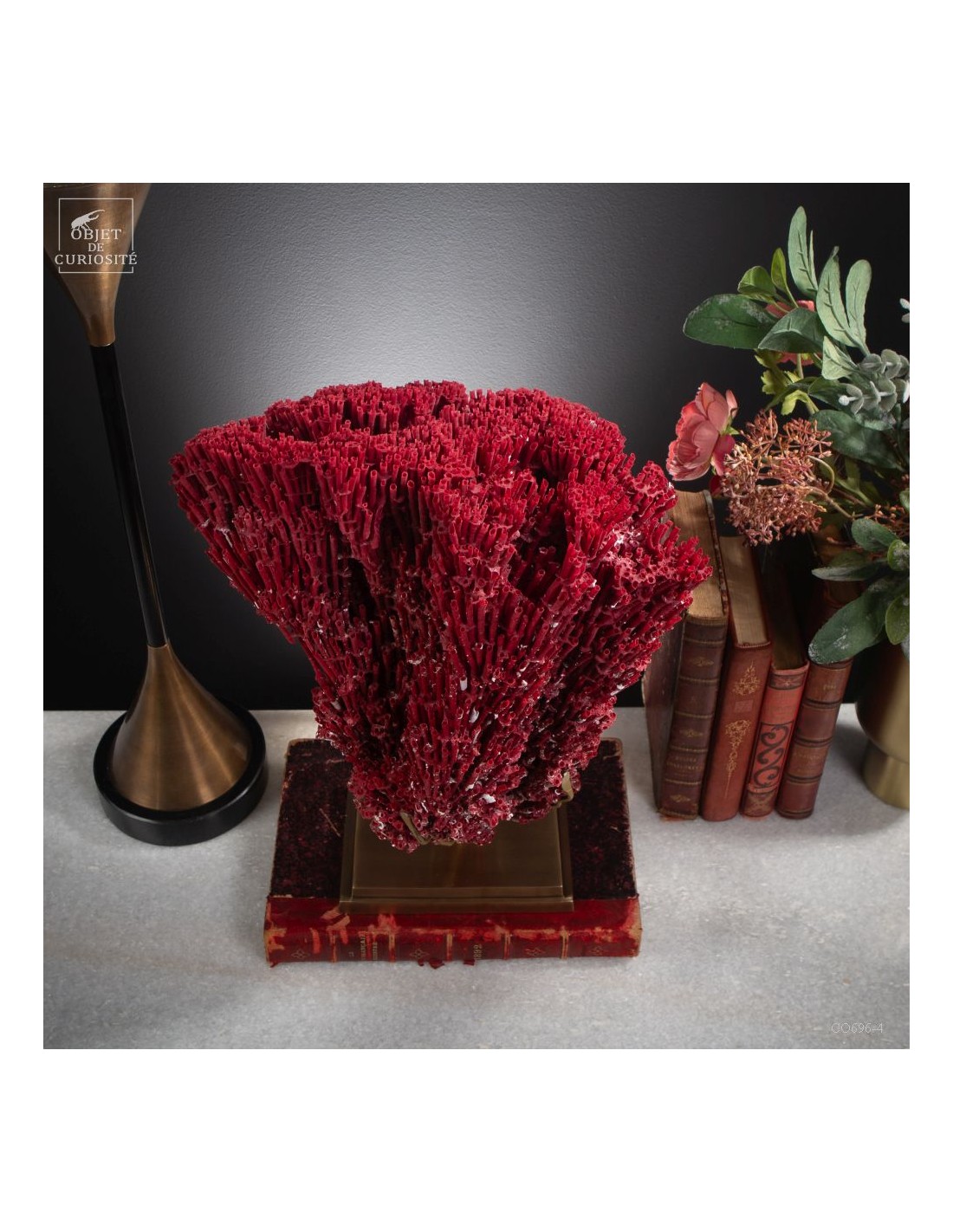 Red coral TUBIPORA MUSICA Red coral TUBIPORA MUSICA