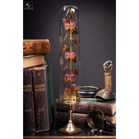 17 butterflies ANAEA NESSUS under glass with brass base