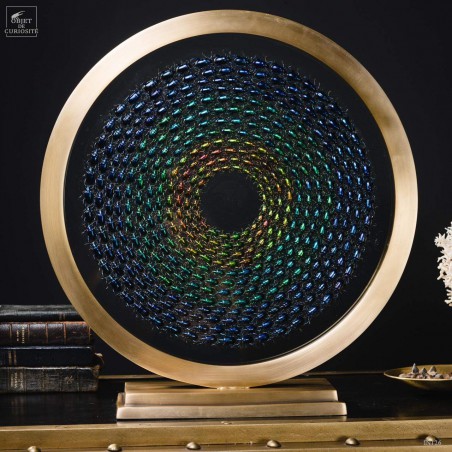 Variations de Sagra dans un cercle de laiton. Variations de Sagra dans un cercle de laiton.