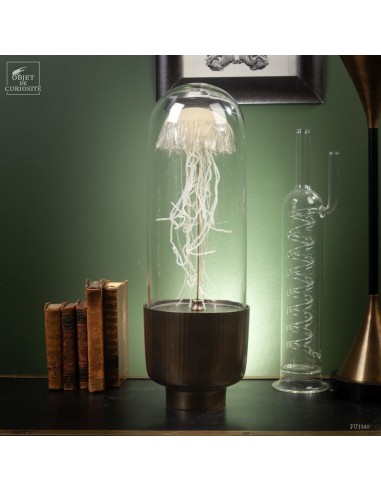 Jellyfish in capsule glass