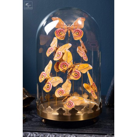 8 butterflies ANTHERINA SURAKA  with brass base