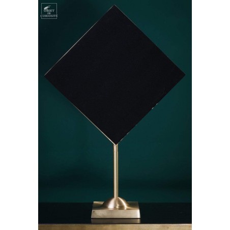 Elytra green beetle wings in square brass frame