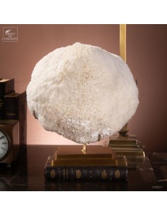 Corail blanc Bowl...