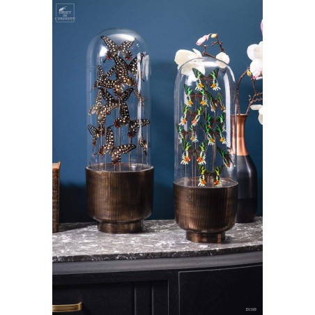 10 butterflies URANIA RIPHEUS in capsule glass