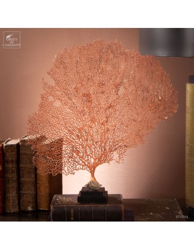 Gorgone rouge sur base noire