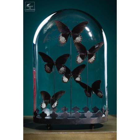 6 Red butterflies - Oval globe on brass black base