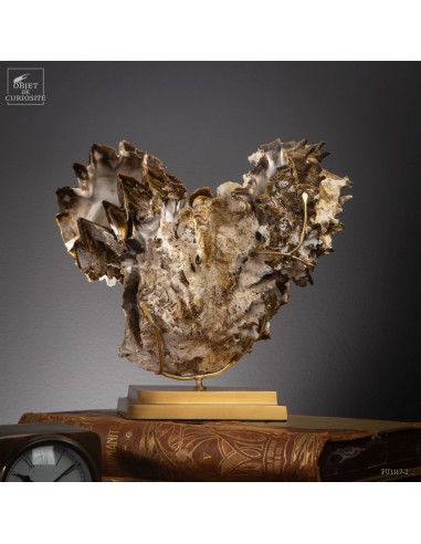 Zigzag oyster from Madagascar on brass