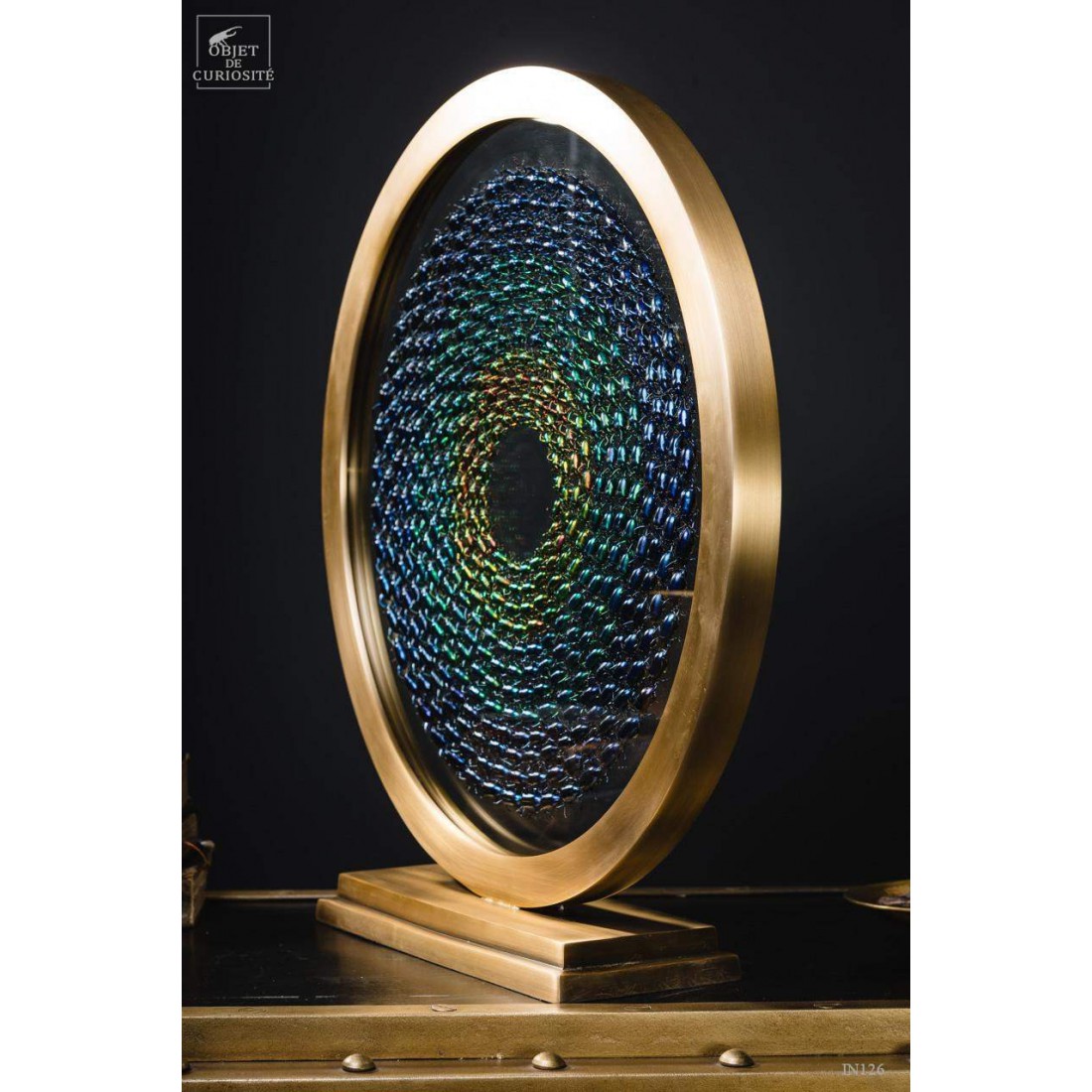 Variations de Sagra dans un cercle de laiton. Variations de Sagra dans un cercle de laiton.