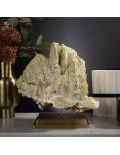 Fire coral MILLEPORA EXAESA