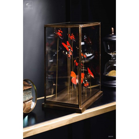 9 papillons rouges sous globe rectangulaire