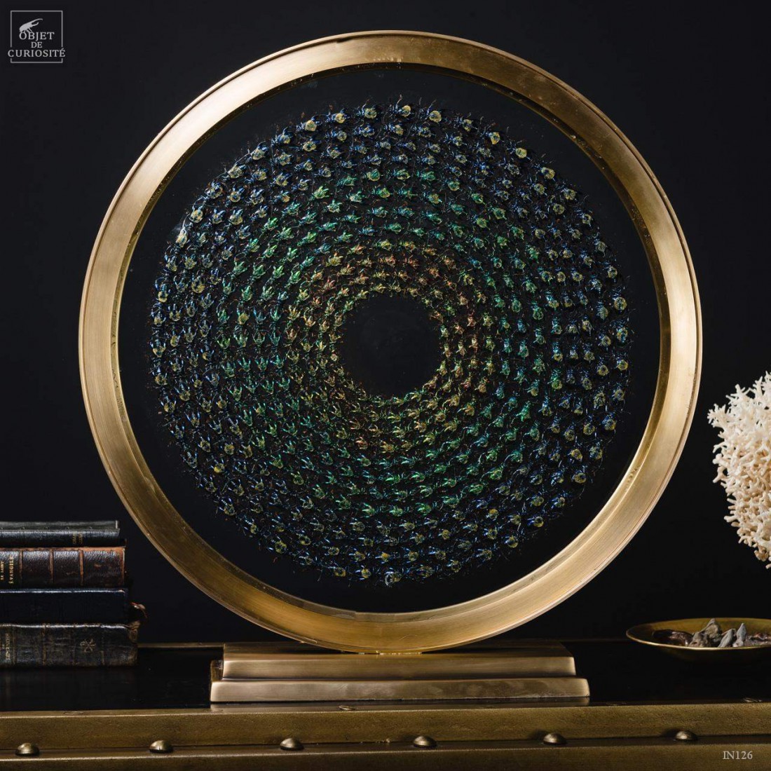 Variations de Sagra dans un cercle de laiton. Variations de Sagra dans un cercle de laiton.