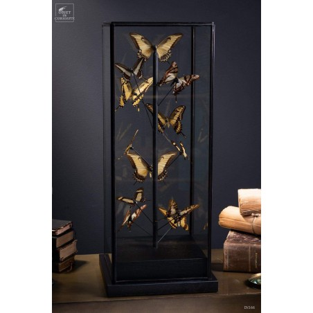 12 yellow butterflies under square glass