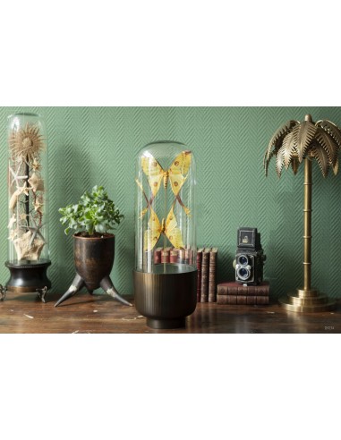 Couple de comètes de Madagascar dans...