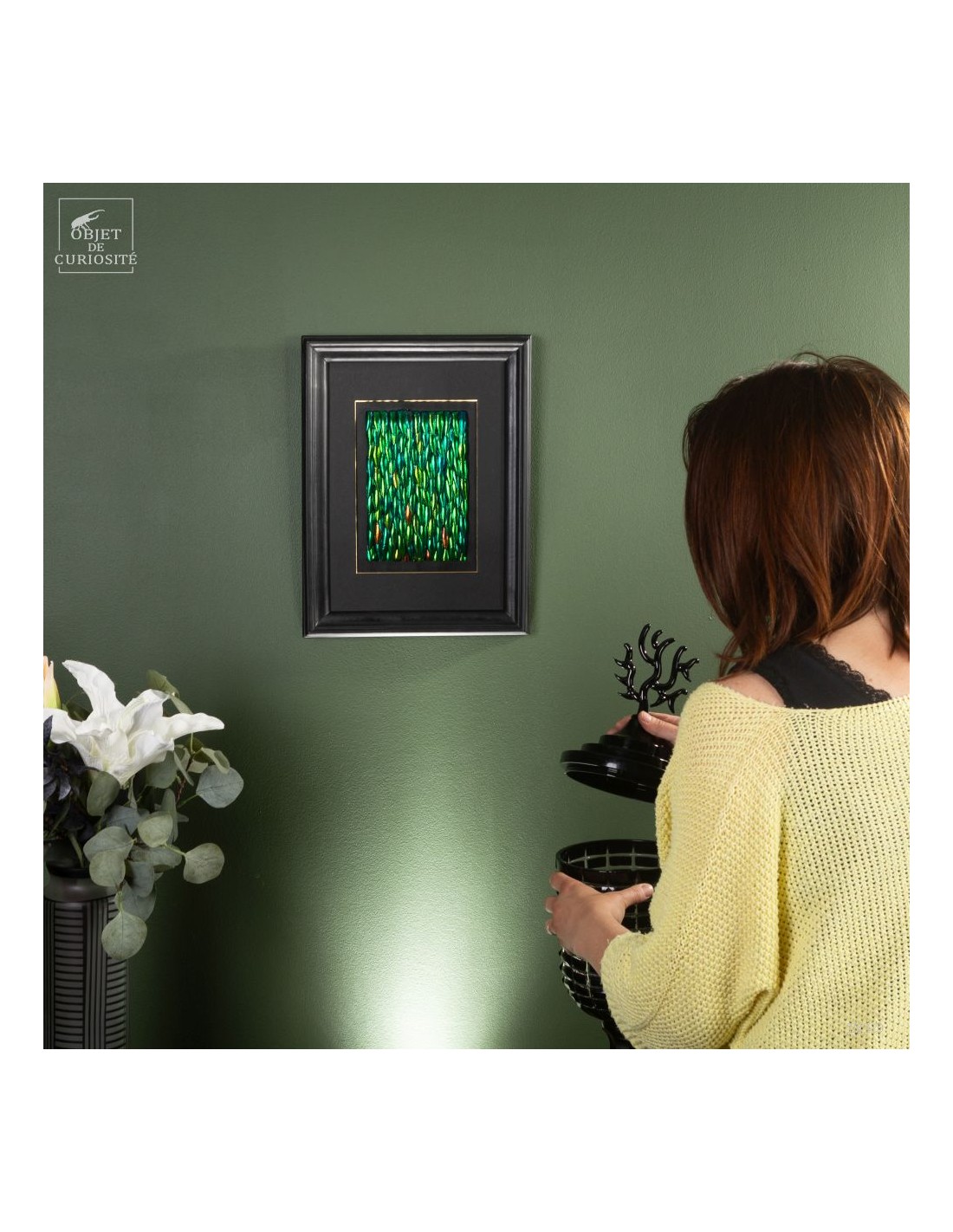 Elytres de sternocera dans cadre... Elytres de sternocera dans cadre...