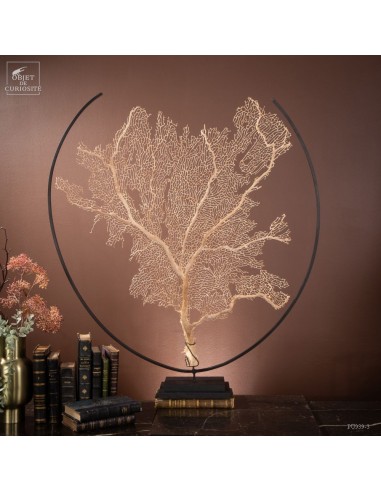 White sea fan in metal circle