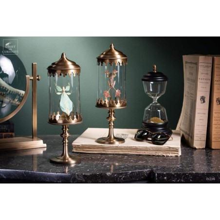 Stick insect (Phyllium celebicum) in brass reliquary