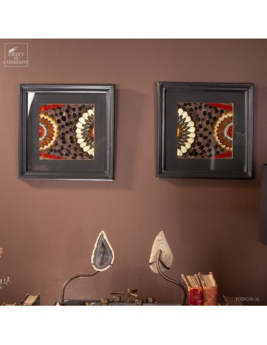 Pair of Butterfly Wing frames