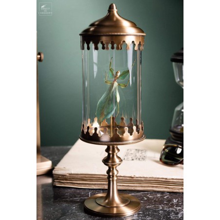 Stick insect (Phyllium celebicum) in brass reliquary