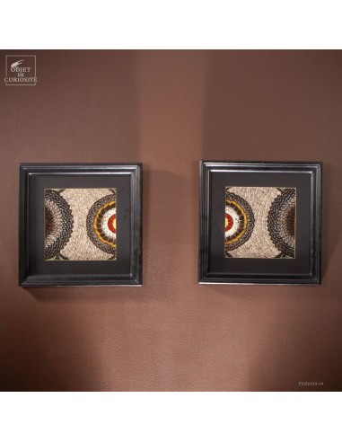 Pair of Butterfly Wing frames