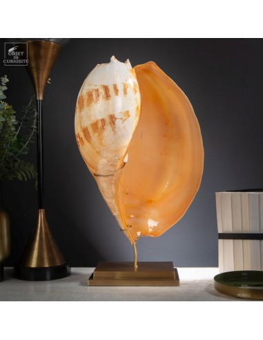 Mélo amphora géant sur laiton