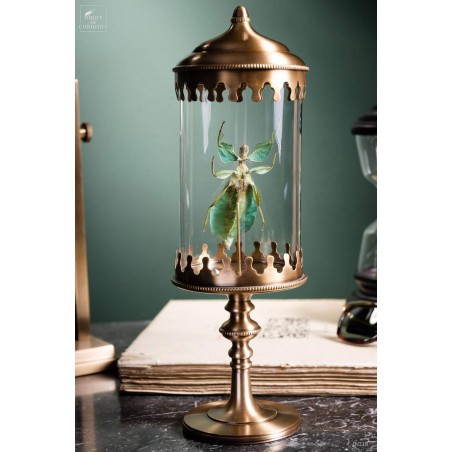 Stick insect (Phyllium celebicum) in brass reliquary