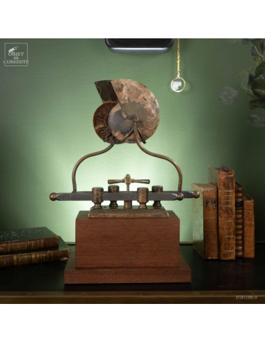 Ammonite on sliding machine
