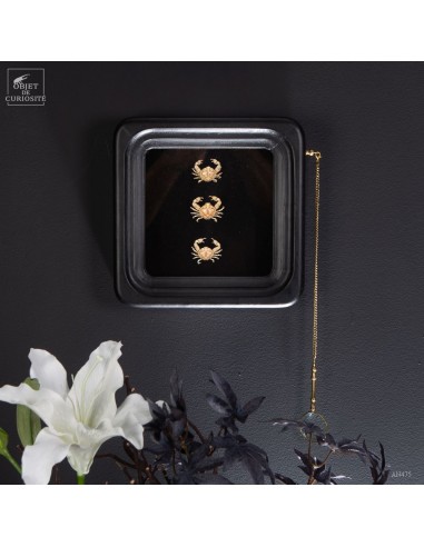 Graphic display of 3 Leucosia anantum...