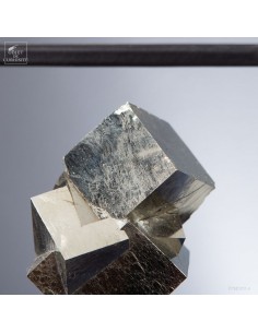 Natural cubic pyrite in cage 2