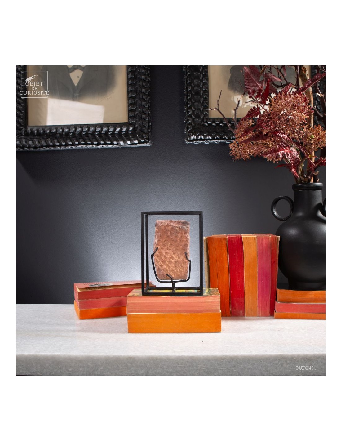 Tronc de fougère arborescente fossile... Tronc de fougère arborescente fossile...