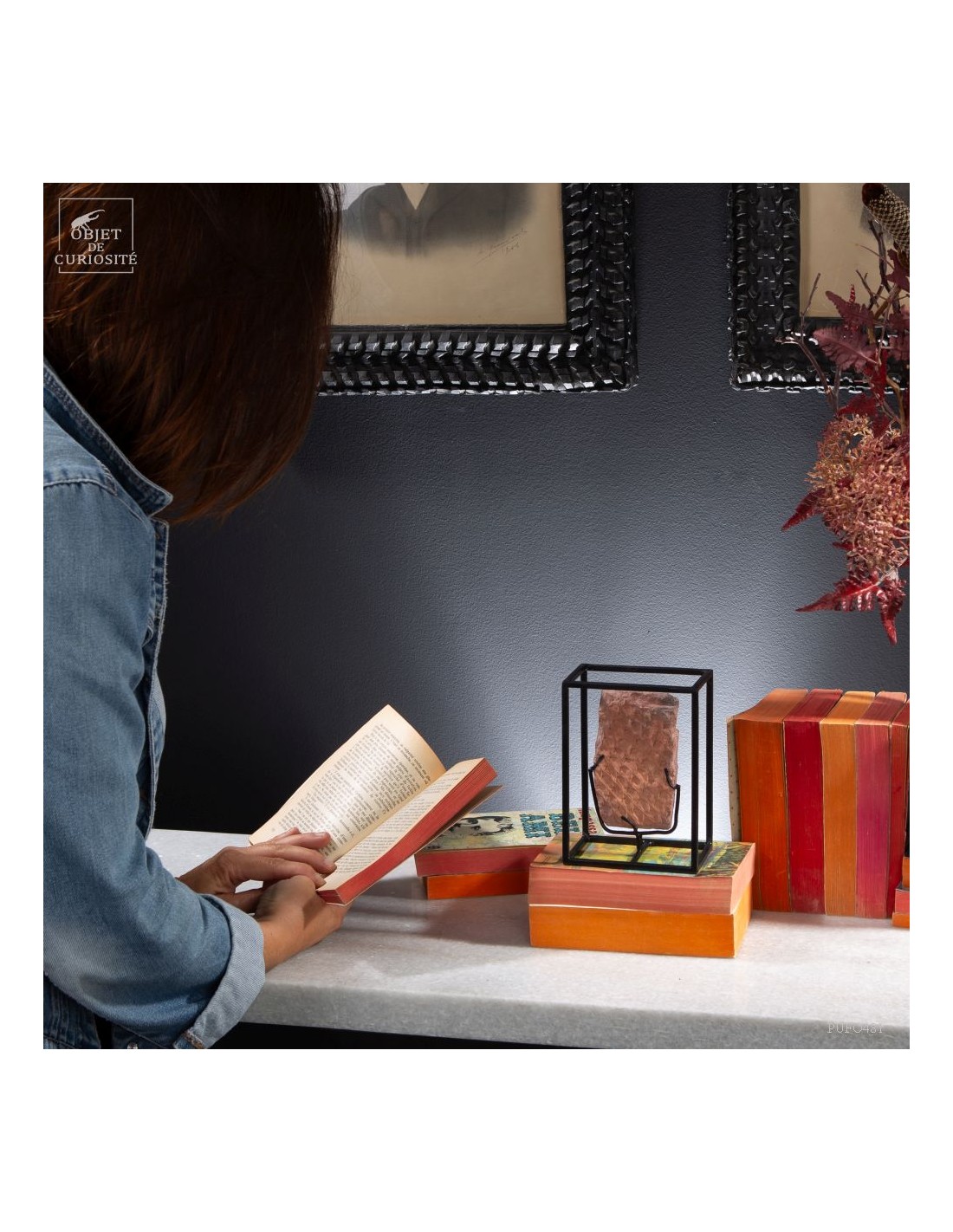 Tronc de fougère arborescente fossile... Tronc de fougère arborescente fossile...