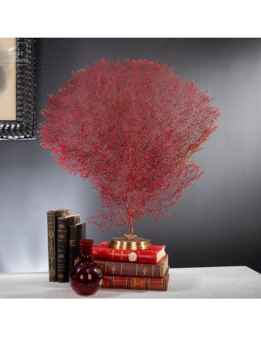 Gorgone rouge sur base laiton