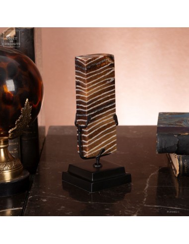 Molaire de Mammouth en bloc...