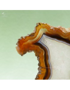 Agate slice 2