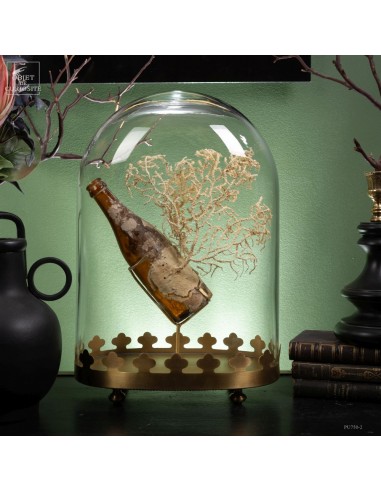 Waste of the sea : bottle with...