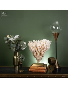 White coral MONTIPORA SP 2