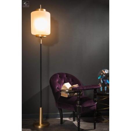 Floor lamp with frozen glass