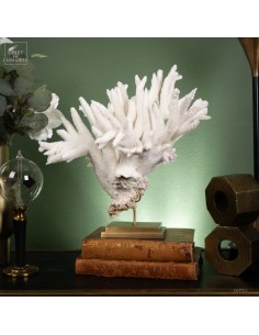 White Staghorn Coral -...