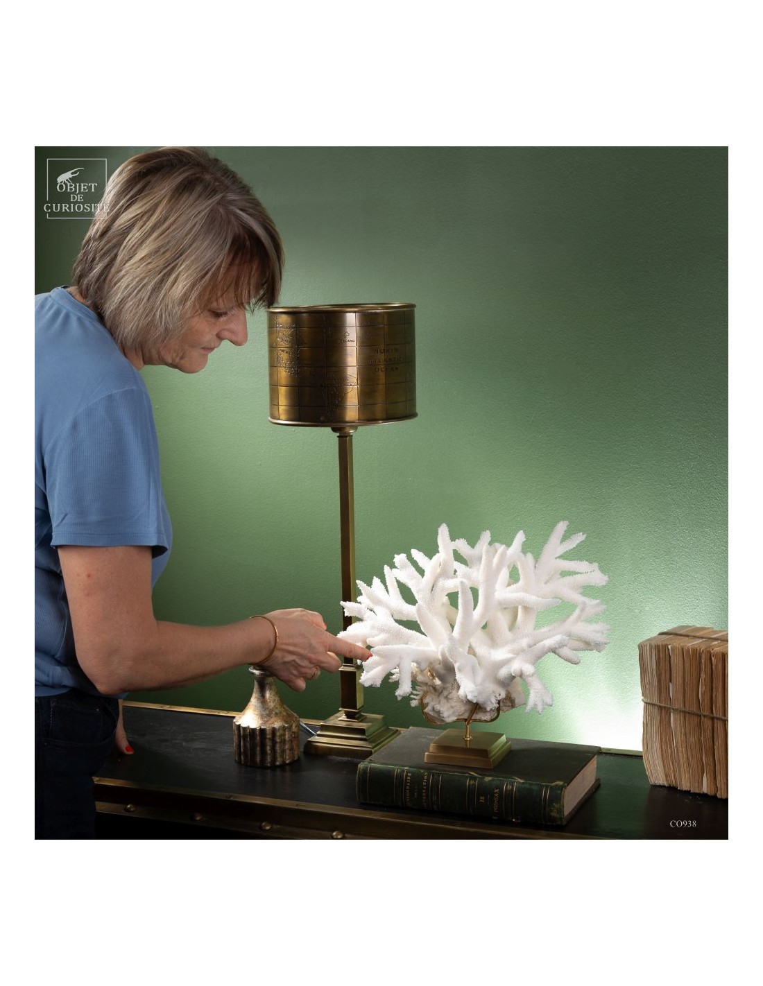 White Staghorn Coral - Acropora... White Staghorn Coral - Acropora...