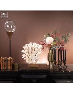 White coral  POCILLOPORA... 2