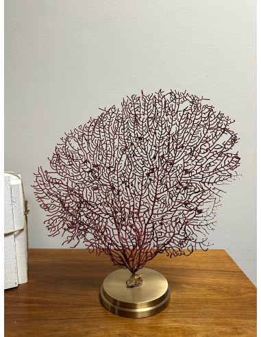 Gorgone rouge sur base laiton