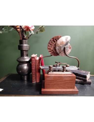 Ammonite on sliding machine