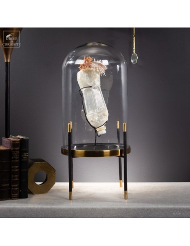 Les nouvelles curiosités : Bouteille... Les nouvelles curiosités : Bouteille...