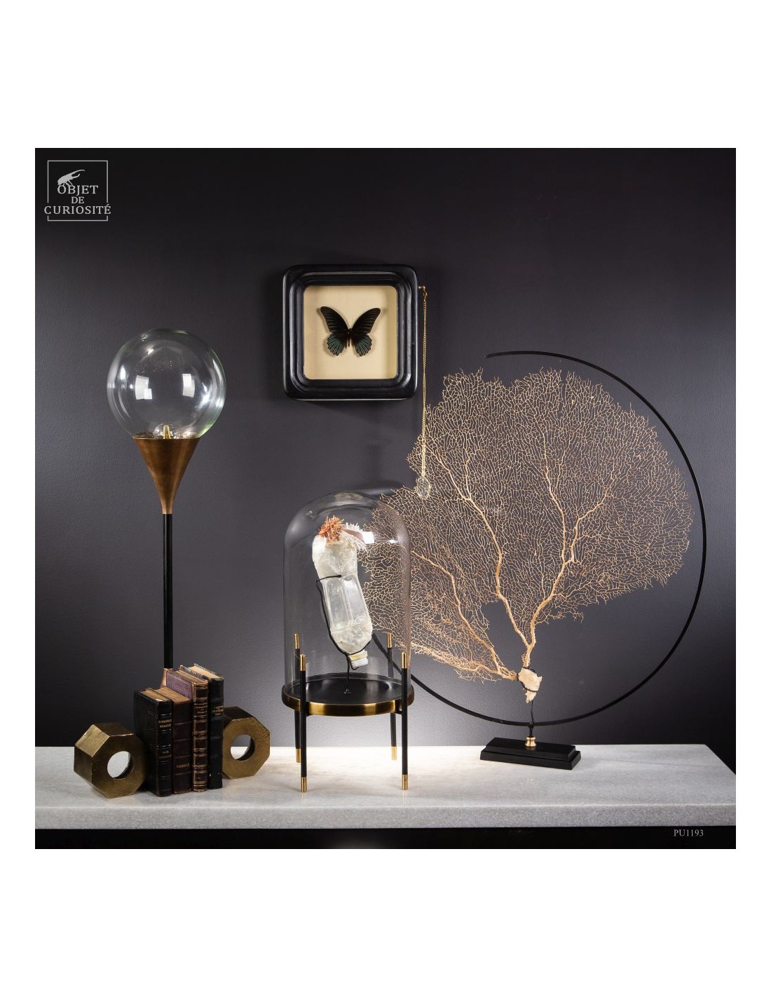 Les nouvelles curiosités : Bouteille... Les nouvelles curiosités : Bouteille...